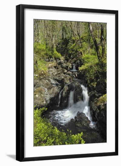 Waterfalls at Wood of Cree, Near Newton Stewart, Dumfries and Galloway, Scotland, United Kingdom-Gary Cook-Framed Photographic Print