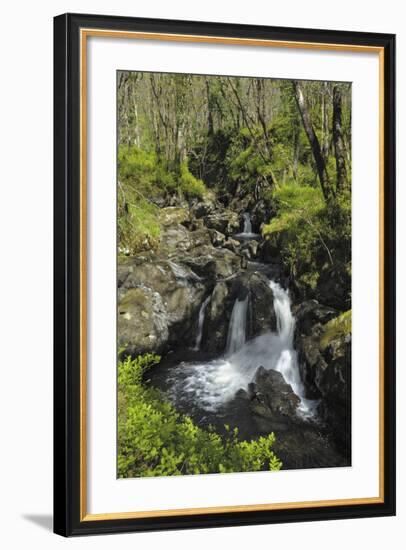 Waterfalls at Wood of Cree, Near Newton Stewart, Dumfries and Galloway, Scotland, United Kingdom-Gary Cook-Framed Photographic Print