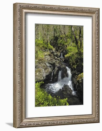 Waterfalls at Wood of Cree, Near Newton Stewart, Dumfries and Galloway, Scotland, United Kingdom-Gary Cook-Framed Photographic Print