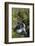 Waterfalls at Wood of Cree, Near Newton Stewart, Dumfries and Galloway, Scotland, United Kingdom-Gary Cook-Framed Photographic Print