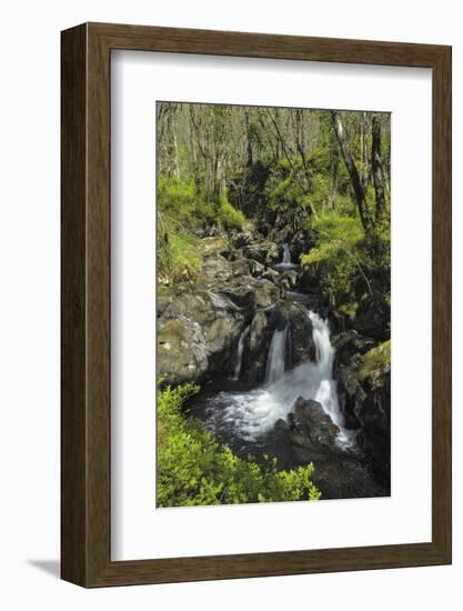 Waterfalls at Wood of Cree, Near Newton Stewart, Dumfries and Galloway, Scotland, United Kingdom-Gary Cook-Framed Photographic Print