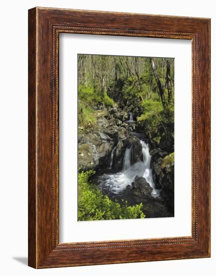 Waterfalls at Wood of Cree, Near Newton Stewart, Dumfries and Galloway, Scotland, United Kingdom-Gary Cook-Framed Photographic Print
