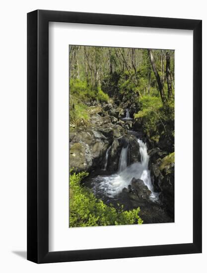 Waterfalls at Wood of Cree, Near Newton Stewart, Dumfries and Galloway, Scotland, United Kingdom-Gary Cook-Framed Photographic Print