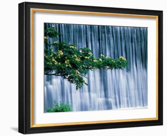 Waterfalls, Kamo-River, Kyoto, Japan-Panoramic Images-Framed Photographic Print