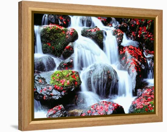 Waterfalls Kyoto Japan-null-Framed Premier Image Canvas