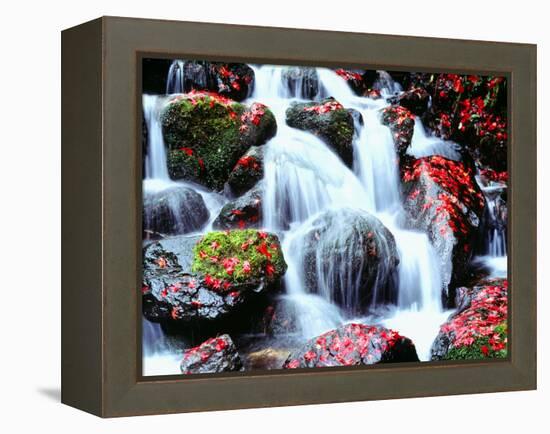 Waterfalls Kyoto Japan-null-Framed Premier Image Canvas