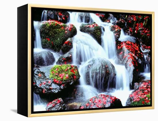 Waterfalls Kyoto Japan-null-Framed Premier Image Canvas