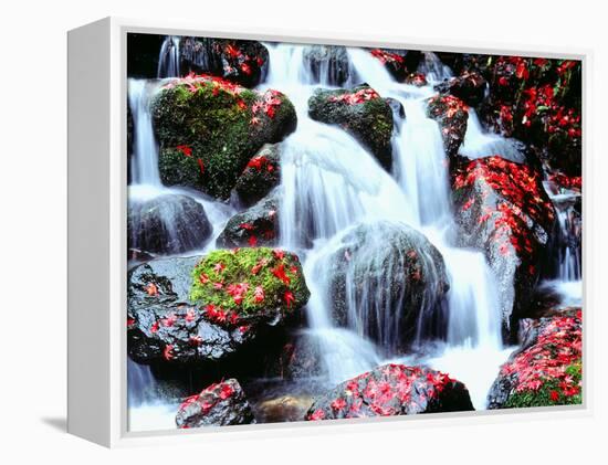 Waterfalls Kyoto Japan-null-Framed Premier Image Canvas