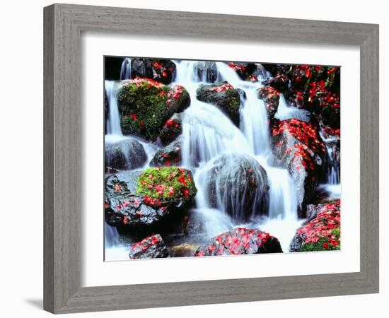 Waterfalls Kyoto Japan-null-Framed Photographic Print