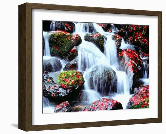 Waterfalls Kyoto Japan-null-Framed Photographic Print