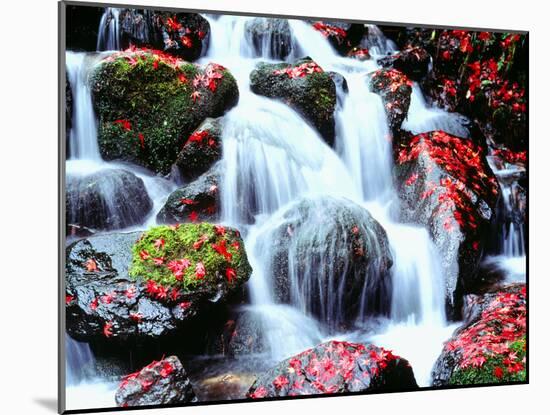 Waterfalls Kyoto Japan-null-Mounted Photographic Print