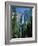 Waterfalls Swollen by Summer Snowmelt at the Upper and Lower Yosemite Falls, USA-Ruth Tomlinson-Framed Photographic Print