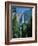 Waterfalls Swollen by Summer Snowmelt at the Upper and Lower Yosemite Falls, USA-Ruth Tomlinson-Framed Photographic Print