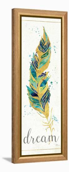Waterfeathers I-Jess Aiken-Framed Stretched Canvas