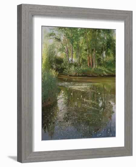 Waterflowers at Sunrise-Timothy Easton-Framed Giclee Print