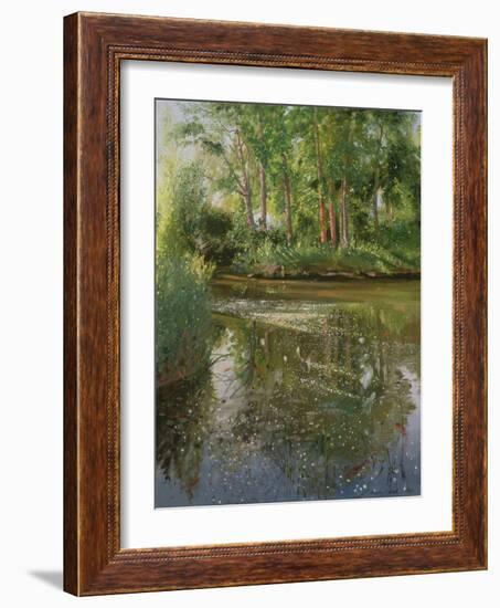 Waterflowers at Sunrise-Timothy Easton-Framed Giclee Print