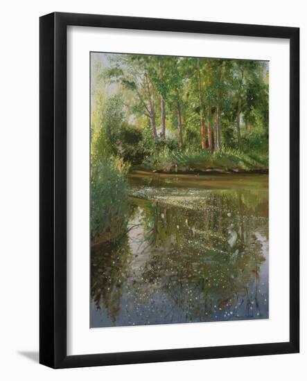 Waterflowers at Sunrise-Timothy Easton-Framed Giclee Print