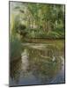 Waterflowers at Sunrise-Timothy Easton-Mounted Giclee Print