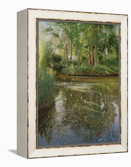 Waterflowers at Sunrise-Timothy Easton-Framed Premier Image Canvas