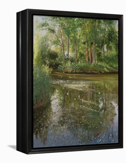 Waterflowers at Sunrise-Timothy Easton-Framed Premier Image Canvas