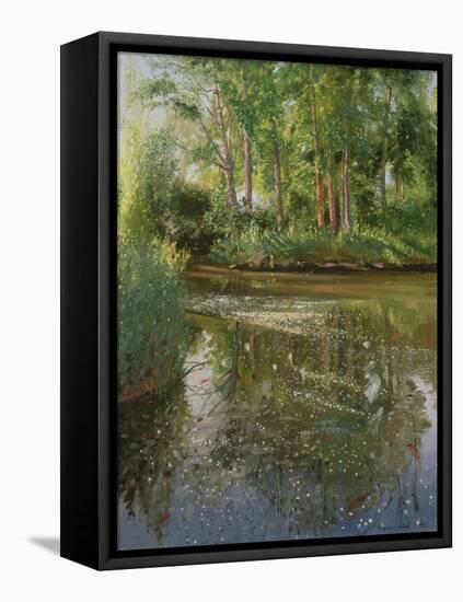 Waterflowers at Sunrise-Timothy Easton-Framed Premier Image Canvas