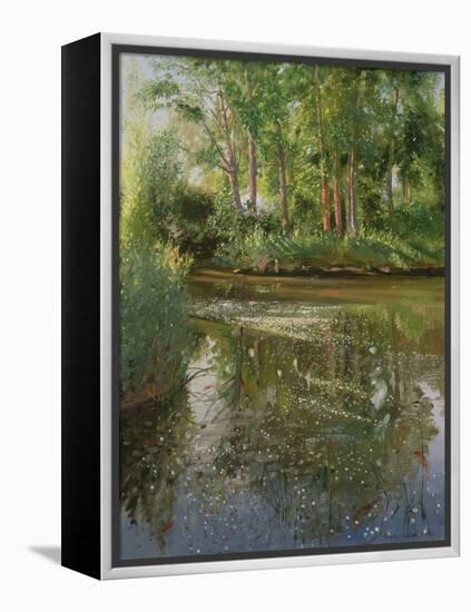 Waterflowers at Sunrise-Timothy Easton-Framed Premier Image Canvas