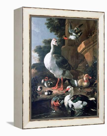 Waterfowl in a Classical Landscape, 17th Century-Melchior de Hondecoeter-Framed Premier Image Canvas