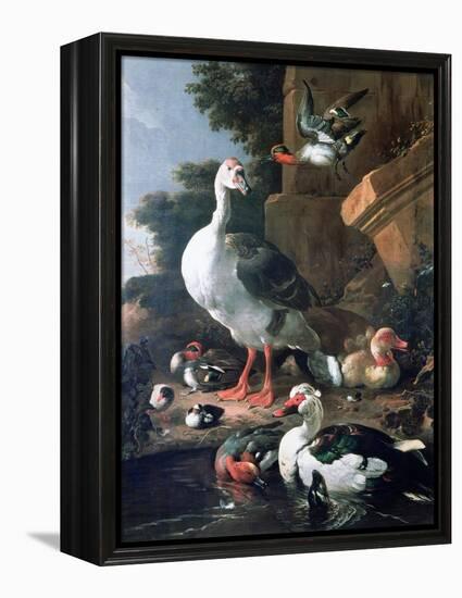 Waterfowl in a Classical Landscape, 17th Century-Melchior de Hondecoeter-Framed Premier Image Canvas