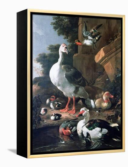 Waterfowl in a Classical Landscape, 17th Century-Melchior de Hondecoeter-Framed Premier Image Canvas