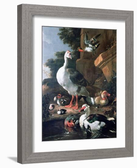 Waterfowl in a Classical Landscape, 17th Century-Melchior de Hondecoeter-Framed Giclee Print