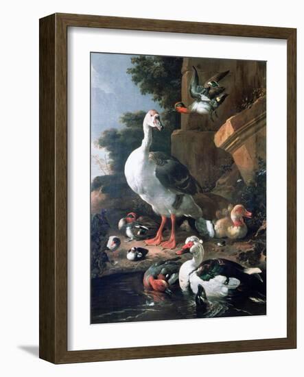 Waterfowl in a Classical Landscape, 17th Century-Melchior de Hondecoeter-Framed Giclee Print