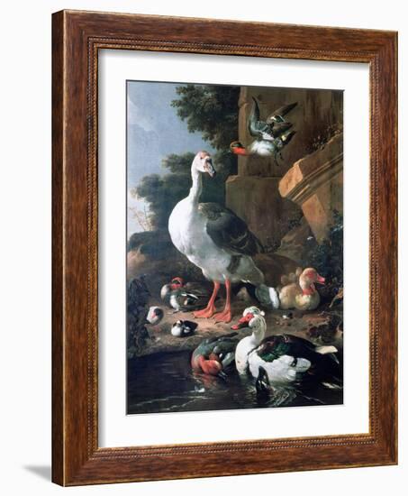 Waterfowl in a Classical Landscape, 17th Century-Melchior de Hondecoeter-Framed Giclee Print