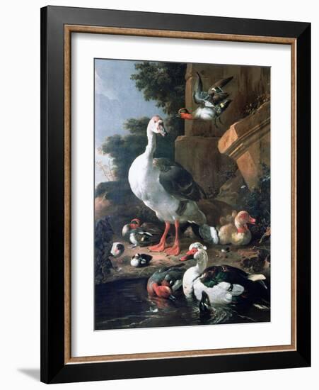 Waterfowl in a Classical Landscape, 17th Century-Melchior de Hondecoeter-Framed Giclee Print