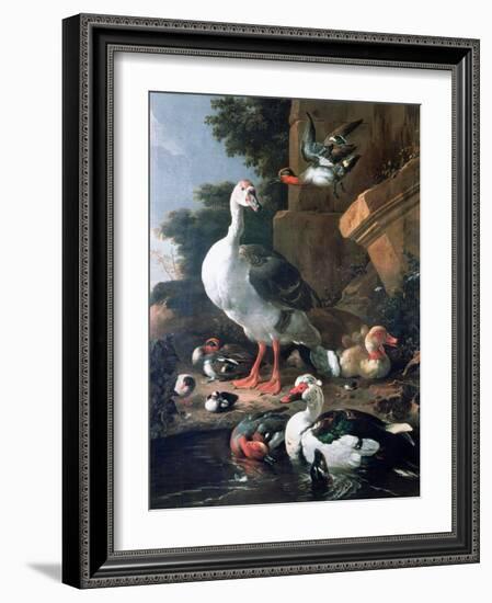 Waterfowl in a Classical Landscape, 17th Century-Melchior de Hondecoeter-Framed Giclee Print