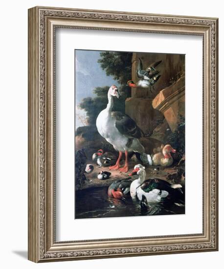 Waterfowl in a Classical Landscape, 17th Century-Melchior de Hondecoeter-Framed Giclee Print