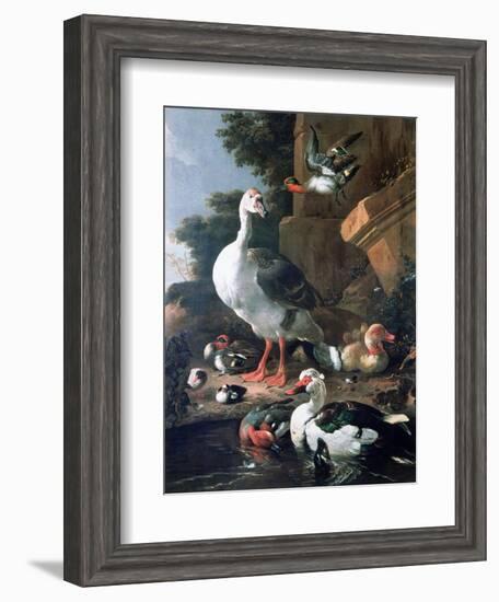 Waterfowl in a Classical Landscape, 17th Century-Melchior de Hondecoeter-Framed Giclee Print