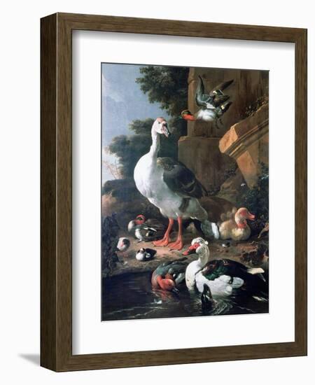 Waterfowl in a Classical Landscape, 17th Century-Melchior de Hondecoeter-Framed Giclee Print