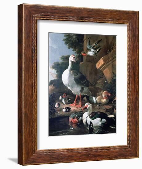 Waterfowl in a Classical Landscape, 17th Century-Melchior de Hondecoeter-Framed Giclee Print