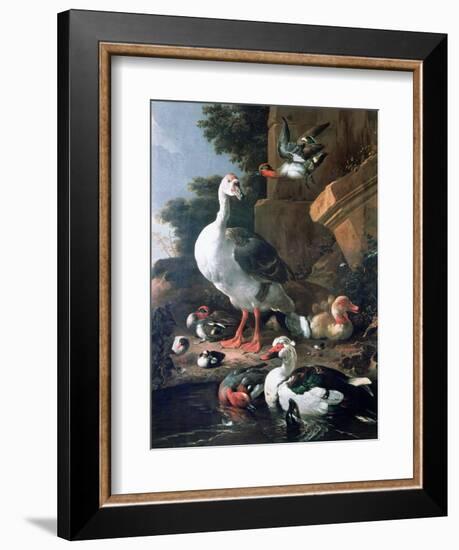 Waterfowl in a Classical Landscape, 17th Century-Melchior de Hondecoeter-Framed Giclee Print