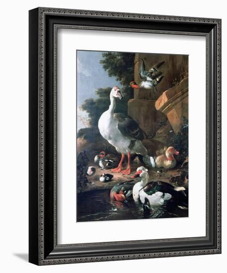 Waterfowl in a Classical Landscape, 17th Century-Melchior de Hondecoeter-Framed Giclee Print