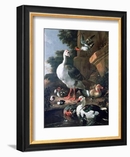 Waterfowl in a Classical Landscape, 17th Century-Melchior de Hondecoeter-Framed Giclee Print