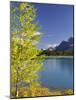 Waterfowl Lake, Banff National Park, UNESCO World Heritage Site, Rocky Mountains, Alberta, Canada,-Jochen Schlenker-Mounted Photographic Print