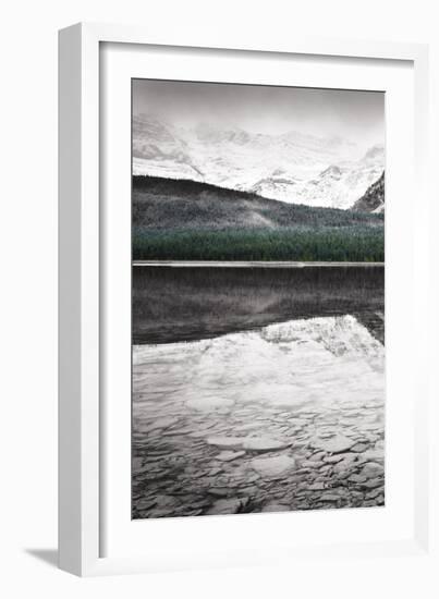 Waterfowl Lake Panel I BW with Color-Alan Majchrowicz-Framed Art Print