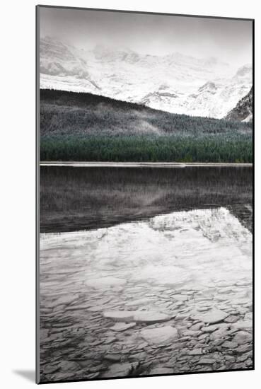 Waterfowl Lake Panel I BW with Color-Alan Majchrowicz-Mounted Art Print