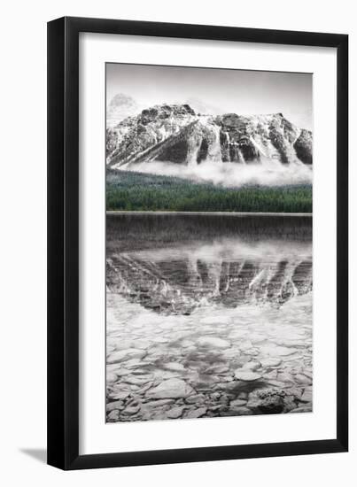 Waterfowl Lake Panel II BW with Color-Alan Majchrowicz-Framed Art Print