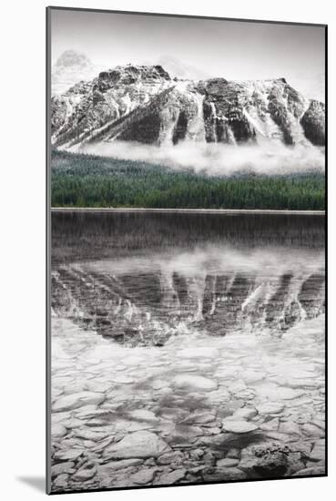 Waterfowl Lake Panel II BW with Color-Alan Majchrowicz-Mounted Art Print