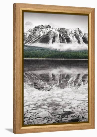 Waterfowl Lake Panel II BW with Color-Alan Majchrowicz-Framed Stretched Canvas