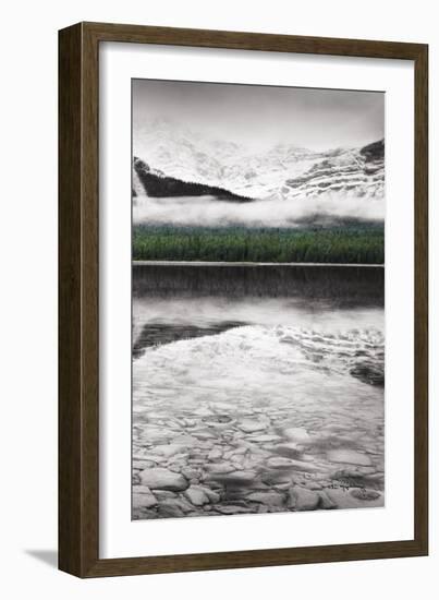 Waterfowl Lake Panel III BW with Color-Alan Majchrowicz-Framed Art Print