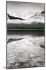 Waterfowl Lake Panel III BW with Color-Alan Majchrowicz-Mounted Art Print