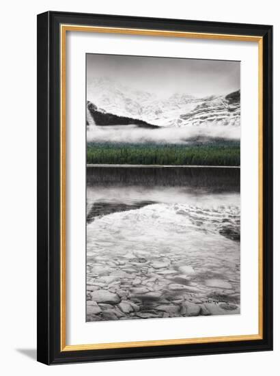 Waterfowl Lake Panel III BW with Color-Alan Majchrowicz-Framed Art Print